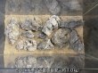 画像6: 【NEW】銀龍石 おまかせ重量セット｜3kg・5kg・10kg (6)