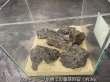 画像4: 【NEW】黒龍鱗岩 おまかせ重量セット｜3kg・5kg・10kg (4)
