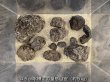 画像6: 【NEW】黒溶岩石 おまかせ重量セット｜1kg・3kg・5kg・10kg (6)