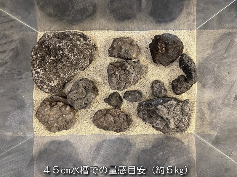 画像6: 【NEW】黒溶岩石 おまかせ重量セット｜1kg・3kg・5kg・10kg (6)