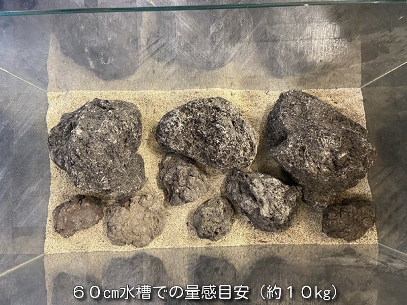 画像7: 【NEW】黒溶岩石 おまかせ重量セット｜1kg・3kg・5kg・10kg (7)