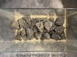 画像6: 【NEW】黒龍鱗岩 おまかせ重量セット｜3kg・5kg・10kg (6)