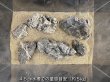 画像5: 【NEW】銀龍石 おまかせ重量セット｜3kg・5kg・10kg (5)