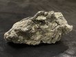画像1: 【NEW】銀龍石 おまかせ重量セット｜3kg・5kg・10kg (1)