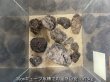 画像5: 【NEW】黒溶岩石 おまかせ重量セット｜1kg・3kg・5kg・10kg (5)