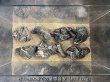 画像6: 【NEW】黒晶石 おまかせ重量セット｜3kg・5kg・10kg (6)