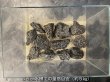 画像5: 【NEW】黒龍鱗岩 おまかせ重量セット｜3kg・5kg・10kg (5)