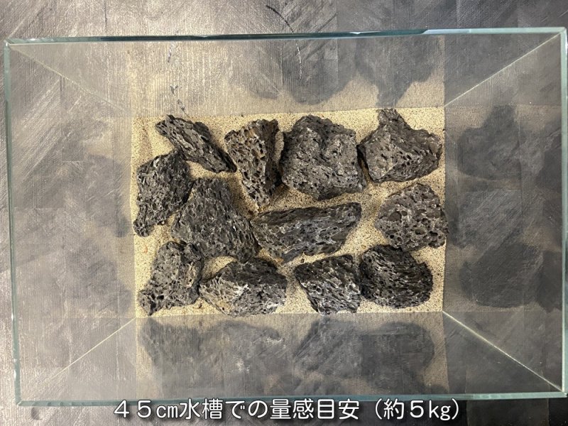 画像5: 【NEW】黒龍鱗岩 おまかせ重量セット｜3kg・5kg・10kg (5)