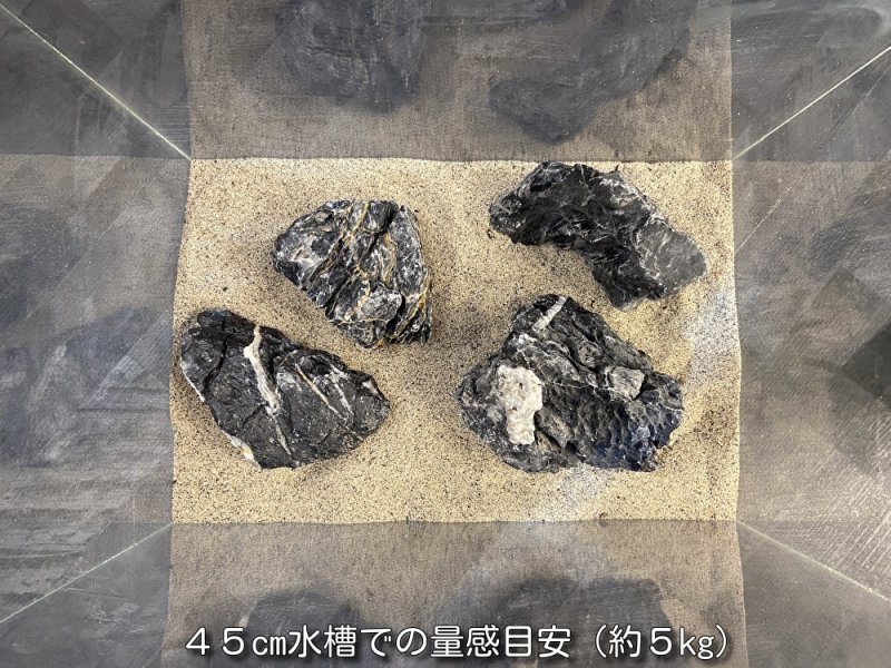 画像5: 【NEW】黒晶石 おまかせ重量セット｜3kg・5kg・10kg (5)