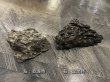 画像3: 【NEW】黒龍鱗岩 おまかせ重量セット｜3kg・5kg・10kg (3)