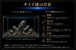 画像3: 黒龍鱗岩｜荒々しい多孔と黒い鱗肌が水景を引き締める溶岩系景石 (3)