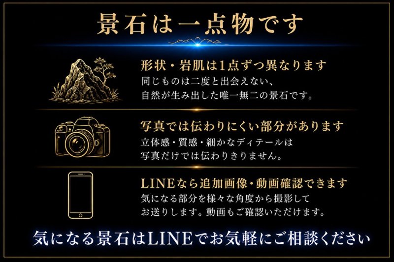 画像2: 黒晶石｜黒く鋭い結晶感と霜降り模様が映える処理済み景石 (2)