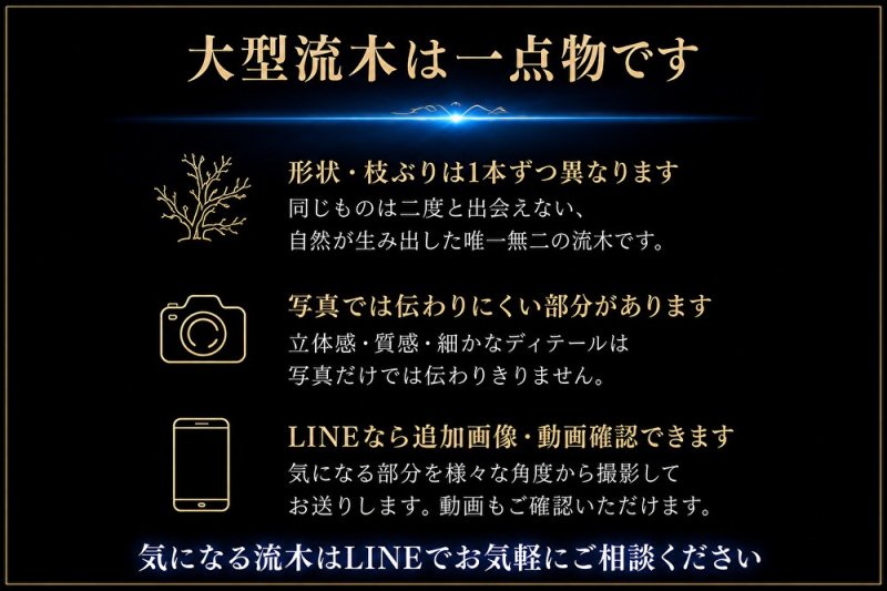 画像2: ブラックブランチウッド｜一点物・現物確認・個別見積り (2)