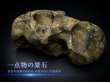 画像1: 蒼翠石｜草原水景に奥行きを作る景石セレクト販売【LINE見積り専用】 (1)