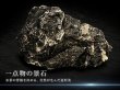 画像1: 黒晶石｜黒く鋭い結晶感と霜降り模様が映える処理済み景石 (1)