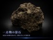 画像1: 黒溶岩石｜丸すぎない座りの良い形状が使いやすい黒系レイアウトストーン (1)