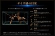 画像3: チーク系ホールウッド｜穴あき造形が美しい一点物流木 (3)