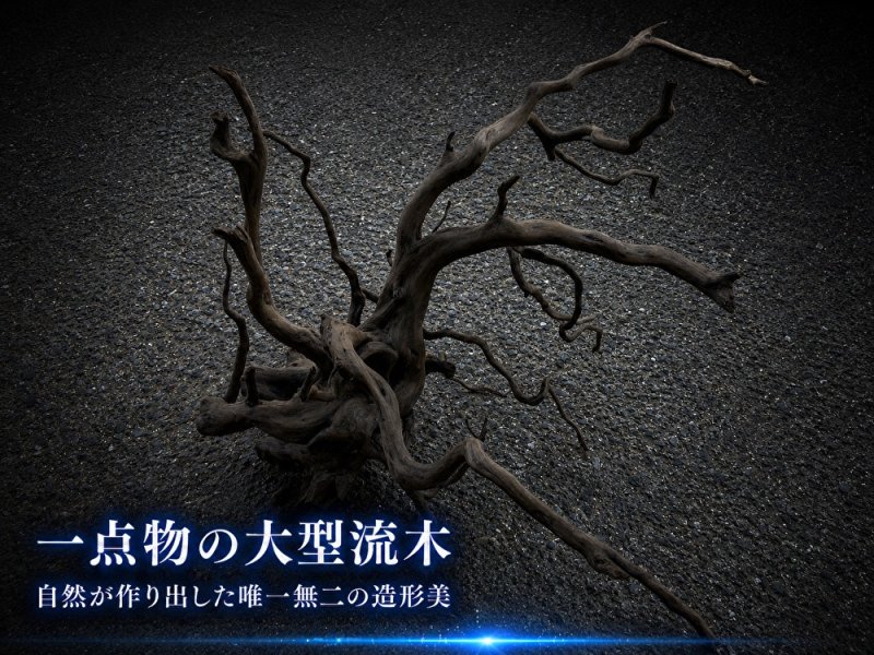 画像1: ブラックブランチウッド｜一点物・現物確認・個別見積り (1)