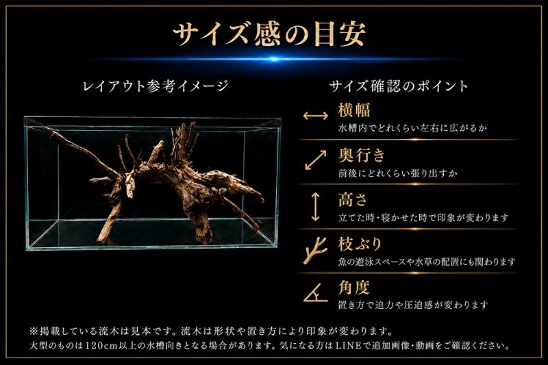 画像3: ホワイトマングローブ系流木｜一点物・現物確認・個別見積り (3)