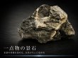 画像1: 銀龍石｜龍の鉤爪跡のような岩肌が水草を引き立てる景石 (1)