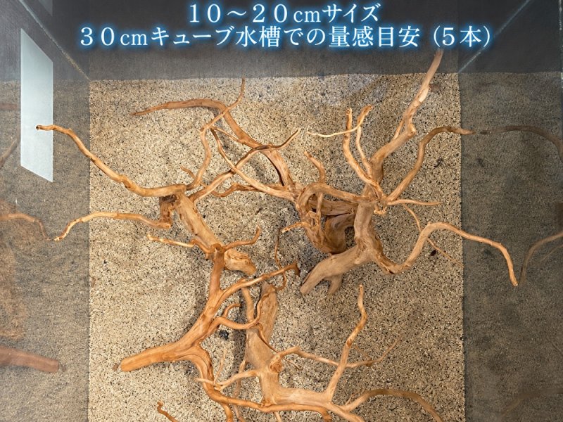画像4: ナチュラルブランチウッド おまかせセット｜自然な枝ぶりを楽しむ小型流木サイズ別セット (4)