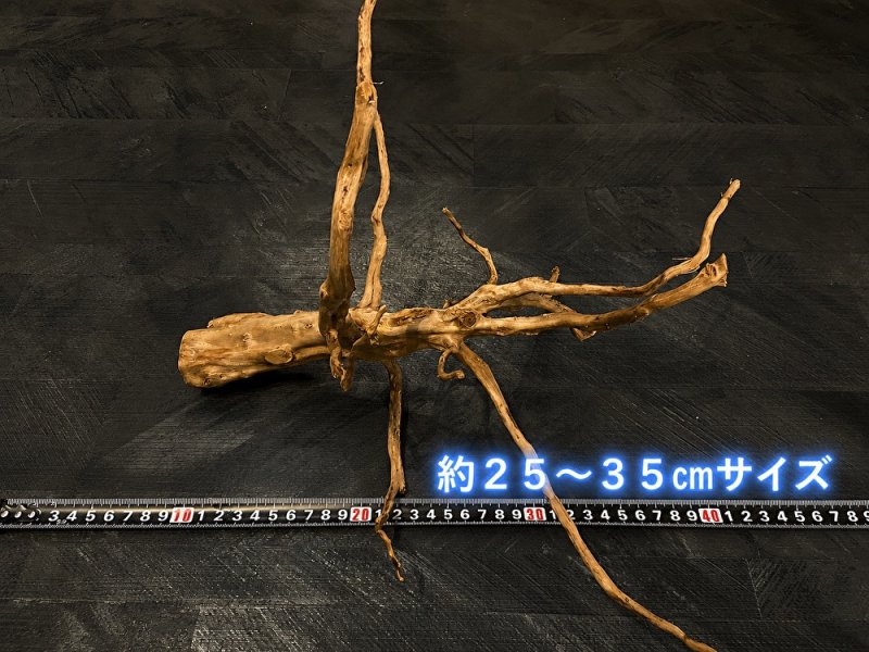 画像7: ナチュラルブランチウッド おまかせセット｜自然な枝ぶりを楽しむ小型流木サイズ別セット (7)