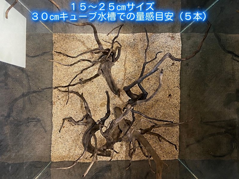 画像4: ブラックブランチウッド おまかせセット｜黒みのある枝ぶりを楽しむ小型流木サイズ別セット (4)