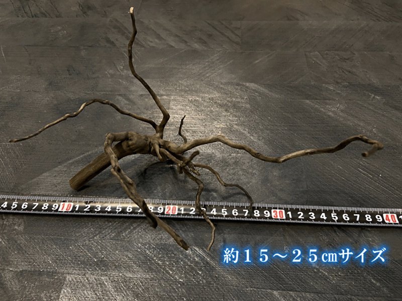 画像3: ブラックブランチウッド おまかせセット｜黒みのある枝ぶりを楽しむ小型流木サイズ別セット (3)