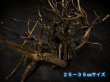 画像5: ブラックブランチウッド おまかせセット｜黒みのある枝ぶりを楽しむ小型流木サイズ別セット (5)
