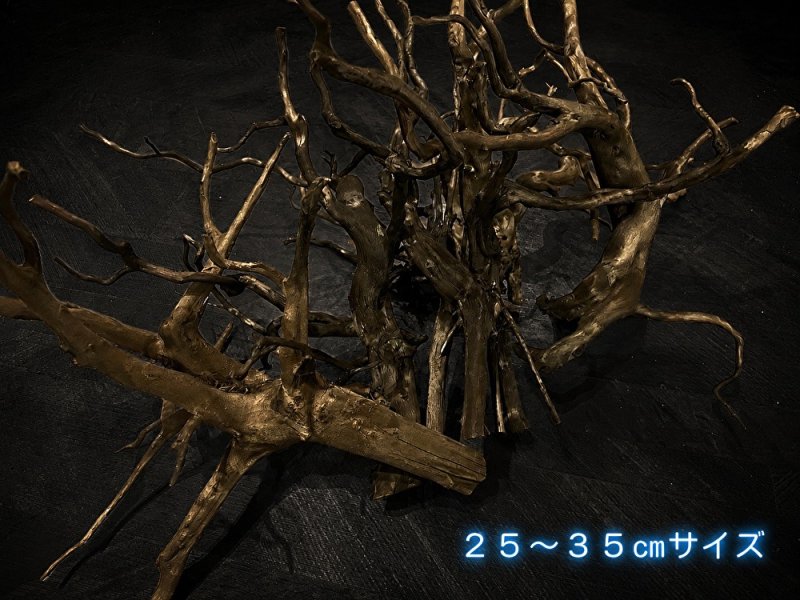 画像5: ブラックブランチウッド おまかせセット｜黒みのある枝ぶりを楽しむ小型流木サイズ別セット (5)