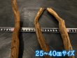 画像4: マングローブ系 棒流木セット｜メイン流木のパーツにも使いやすい棒状流木 (4)