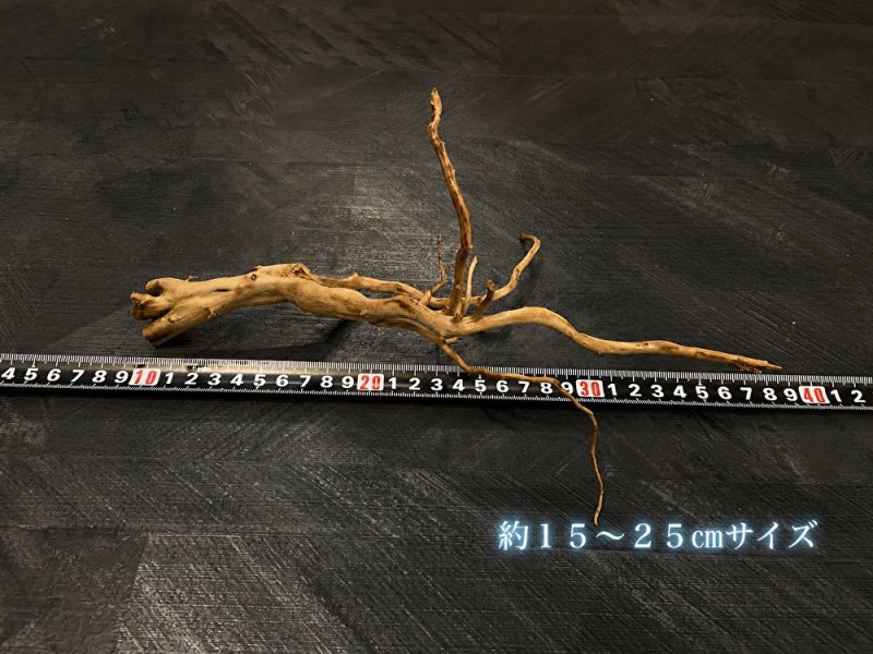 画像3: ナチュラルブランチウッド おまかせセット｜自然な枝ぶりを楽しむ小型流木サイズ別セット (3)