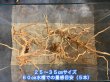 画像8: ナチュラルブランチウッド おまかせセット｜自然な枝ぶりを楽しむ小型流木サイズ別セット (8)