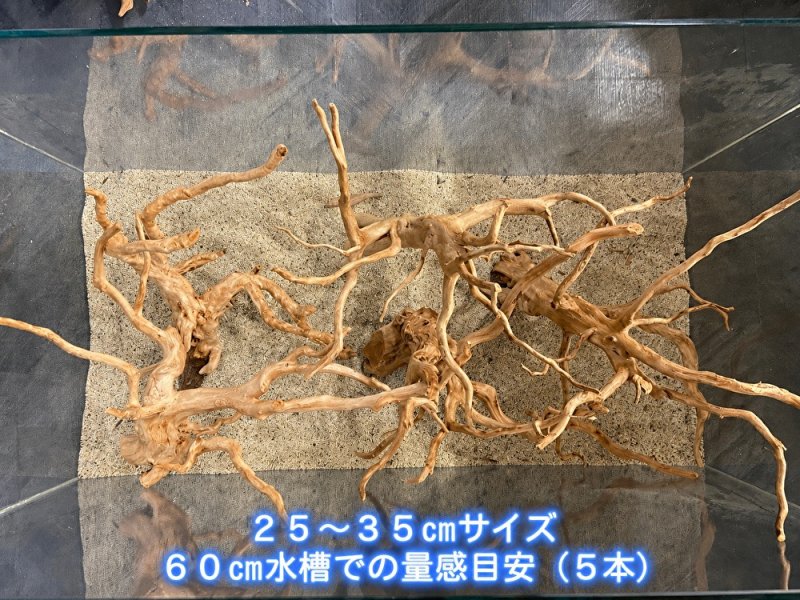 画像8: ナチュラルブランチウッド おまかせセット｜自然な枝ぶりを楽しむ小型流木サイズ別セット (8)