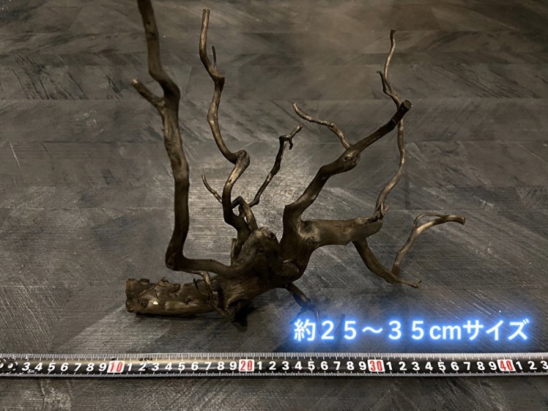 画像6: ブラックブランチウッド おまかせセット｜黒みのある枝ぶりを楽しむ小型流木サイズ別セット (6)