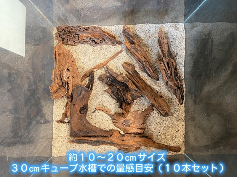 画像3: マングローブ系流木 おまかせセット｜自然な木肌と曲線を楽しむ小型流木サイズ別セット (3)