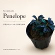 画像1: Bucephalandra sp. “Penelope”｜上品な葉姿と深みのある色味を楽しむ小型群生種 (1)
