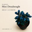 画像1: Bucephalandra sp. “Mini Dreadnought”｜小さな丸葉に深い青紫の艶を宿す小型群生種 (1)