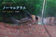 画像12: 国産 Co.コルレア セット｜圧倒的人気の代表格 (12)