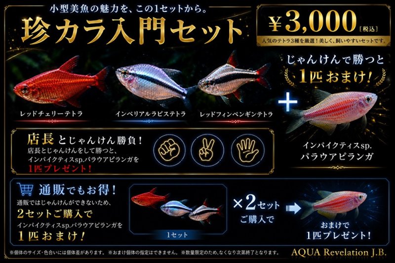 画像1: 期間限定　珍カラ入門セット (1)