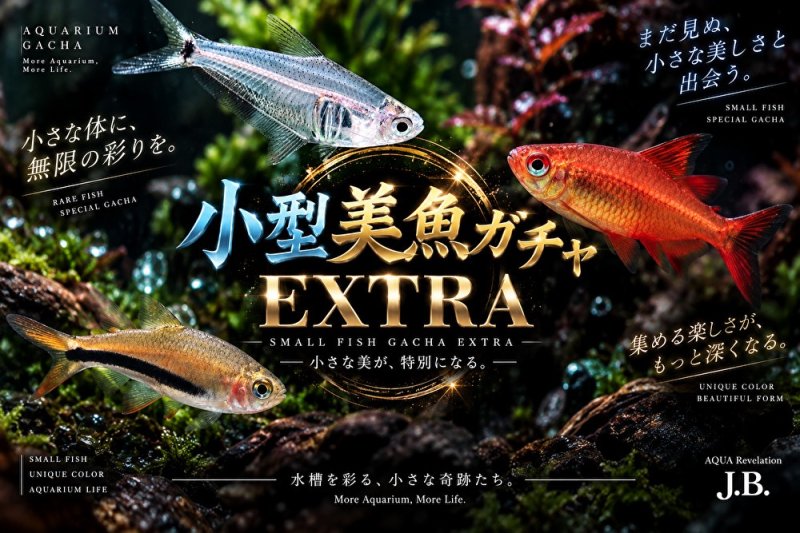 画像1: 小型美魚ガチャ EXTRA【３確】 (1)