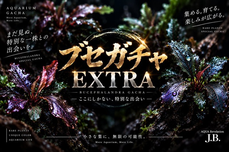 画像1: ブセガチャ EXTRA【レア種混入】 (1)