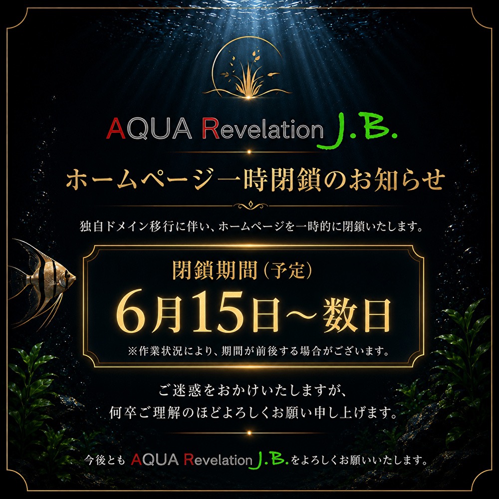独自ドメイン以降につき、１５日から数日ホームページが閉鎖します。
